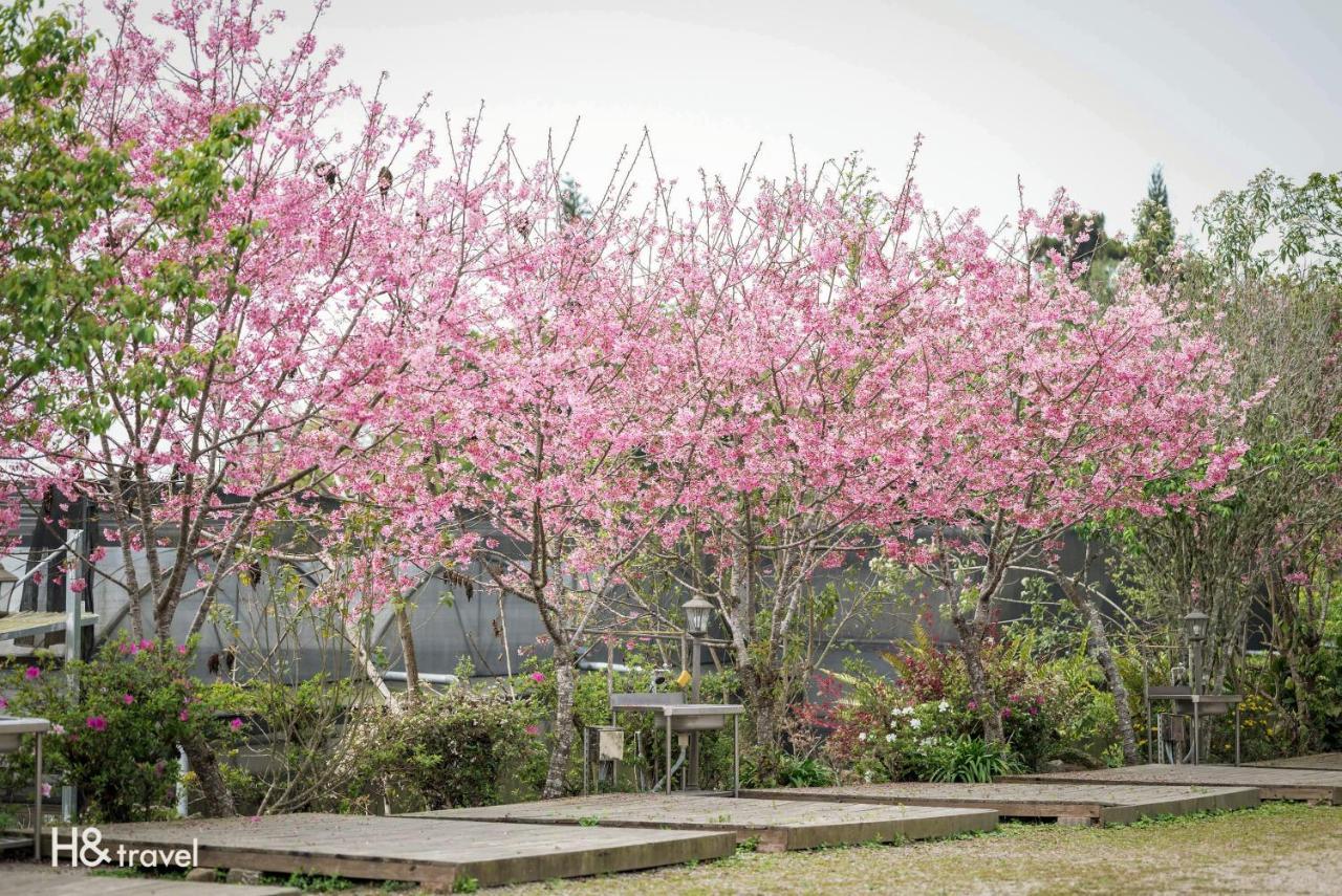 Alishan Sunrise B&B Fanlu Dış mekan fotoğraf